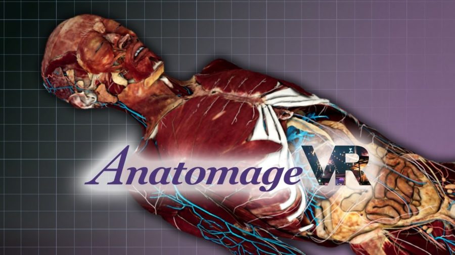 Anatomage VR human anatomy trainer